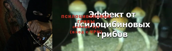 кокаин премиум Богородицк
